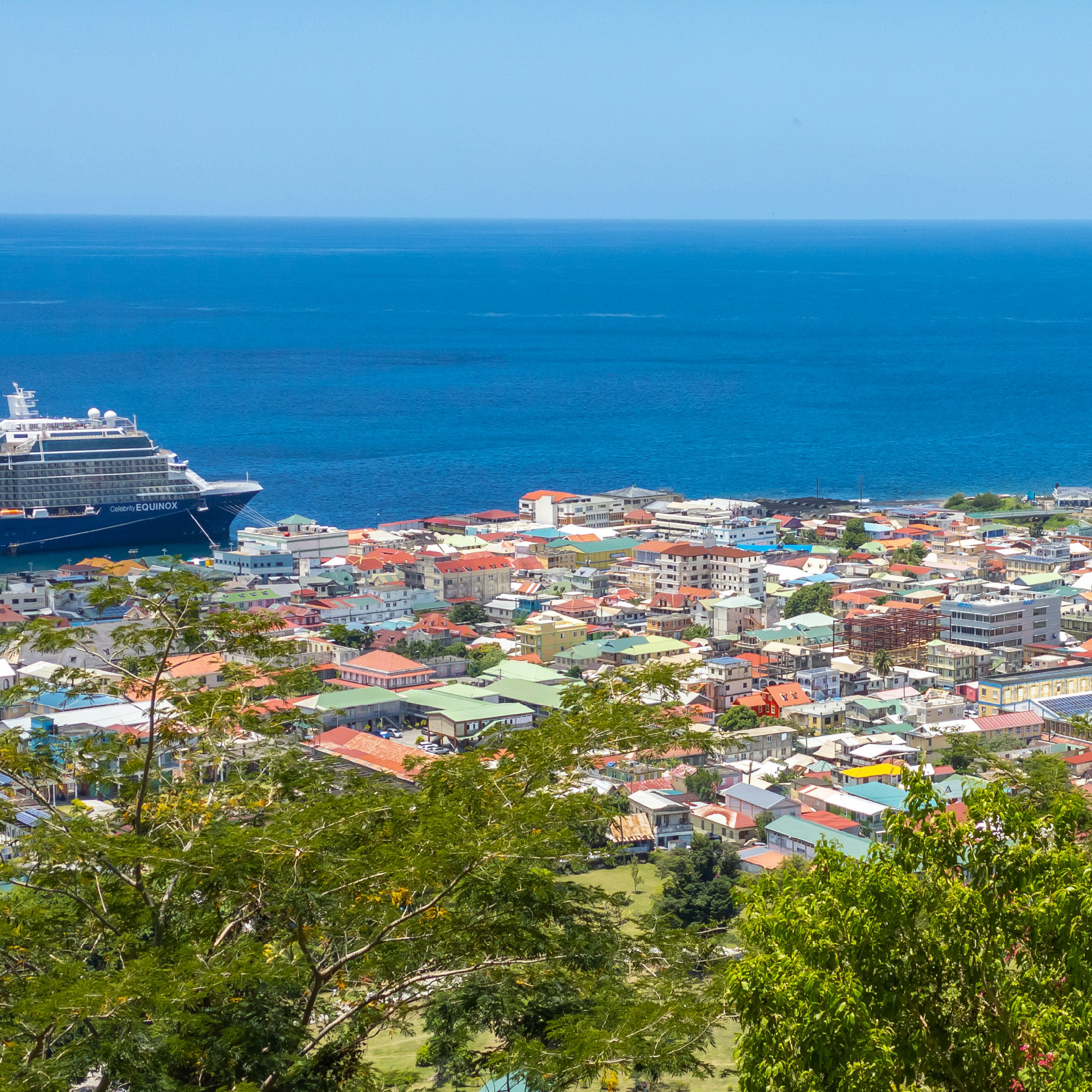 eSIM for Dominica